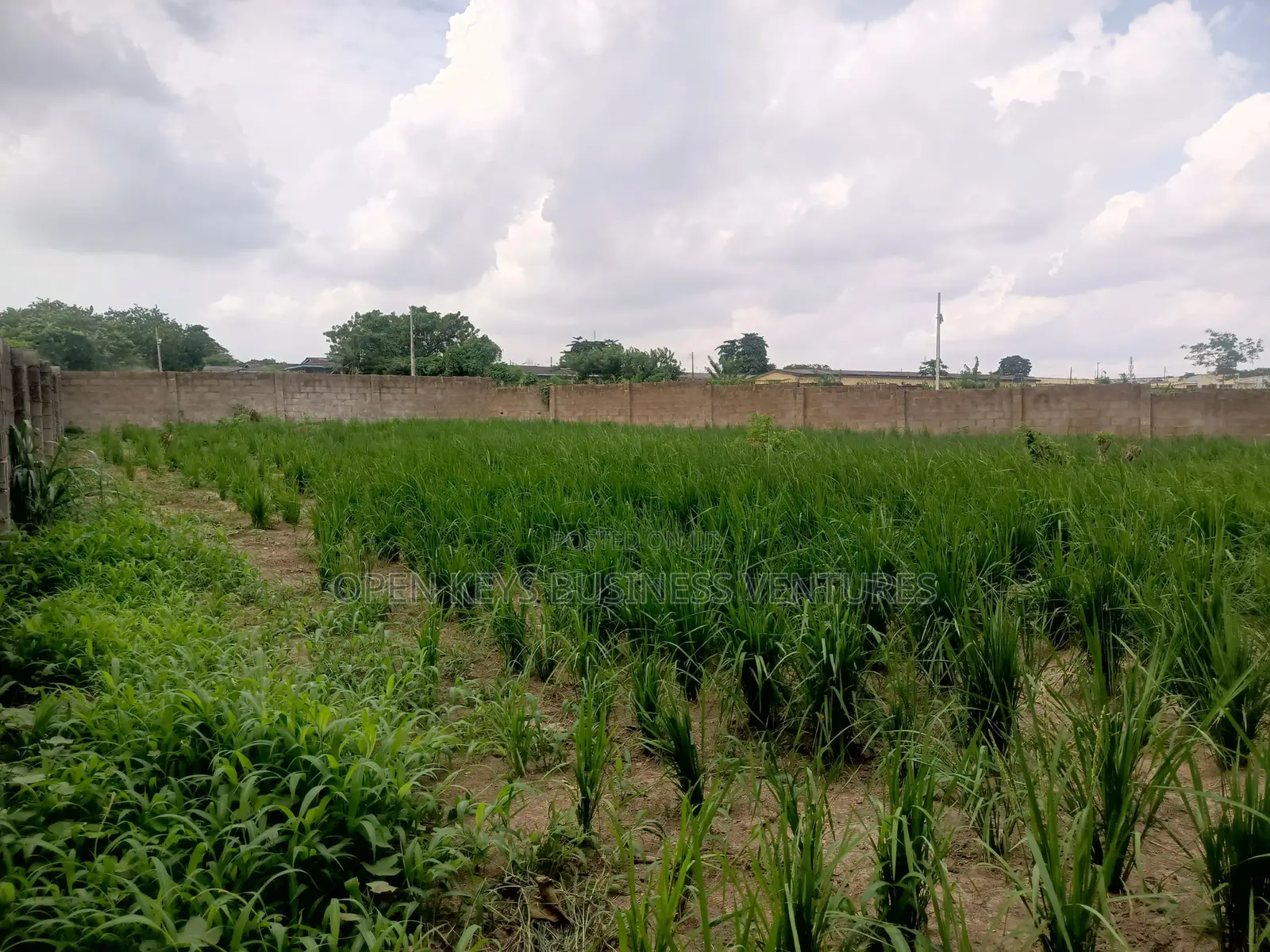 A Fenced Residential Land Measuring 848sqm in an Estate
