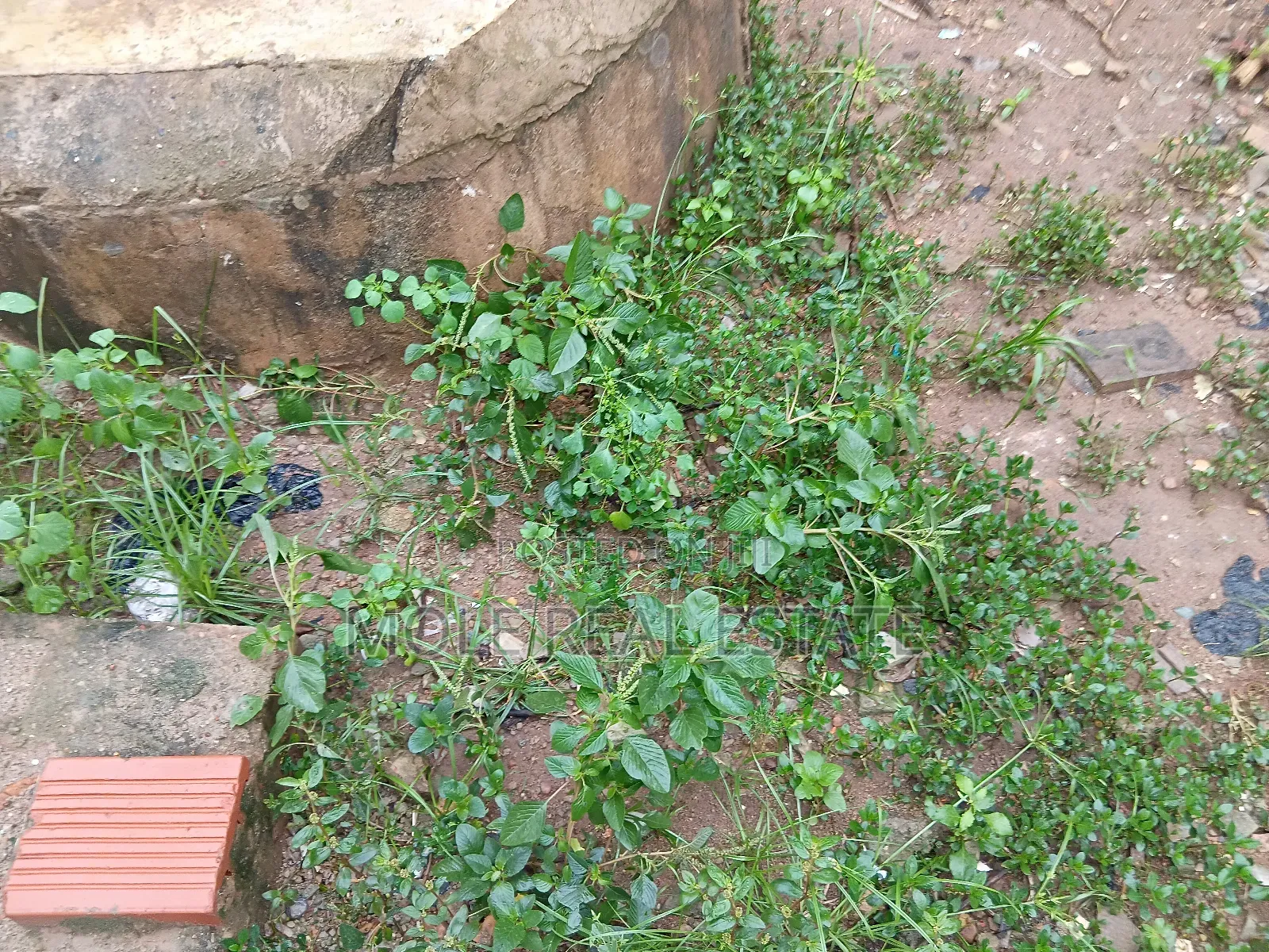 4348 SQM Adeola Odeku Victoria Island