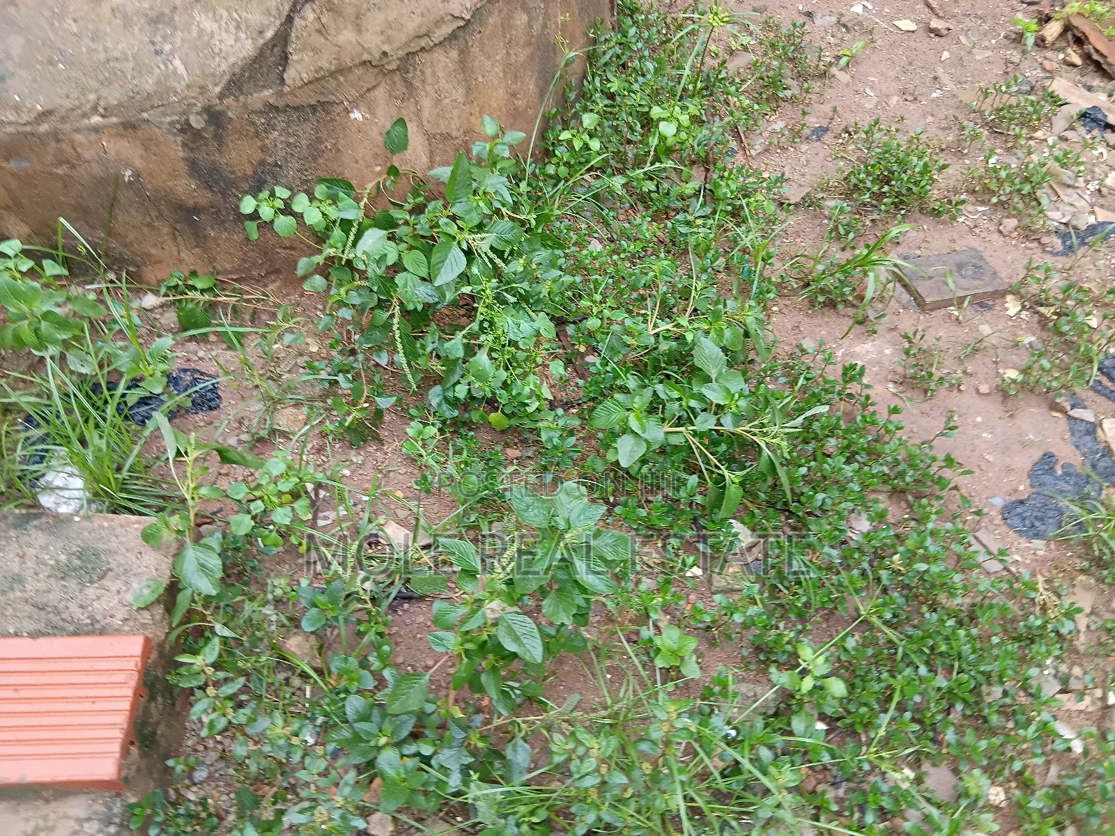 4348 SQM Adeola Odeku Victoria Island