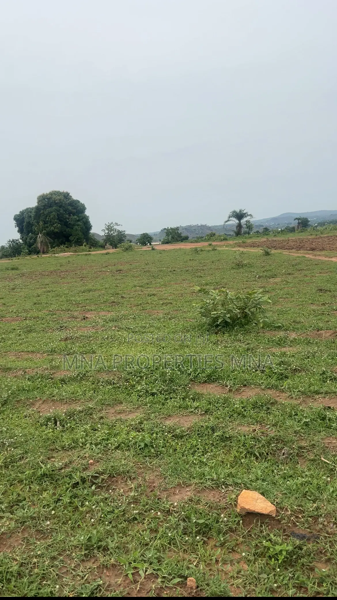Elysian Residence Kabusa