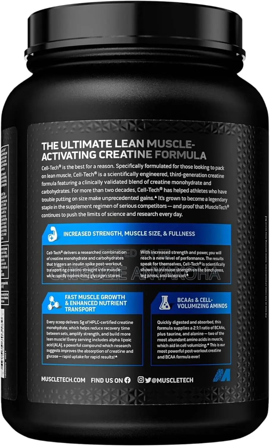Muscletech Platinum 100% Creatine Powder