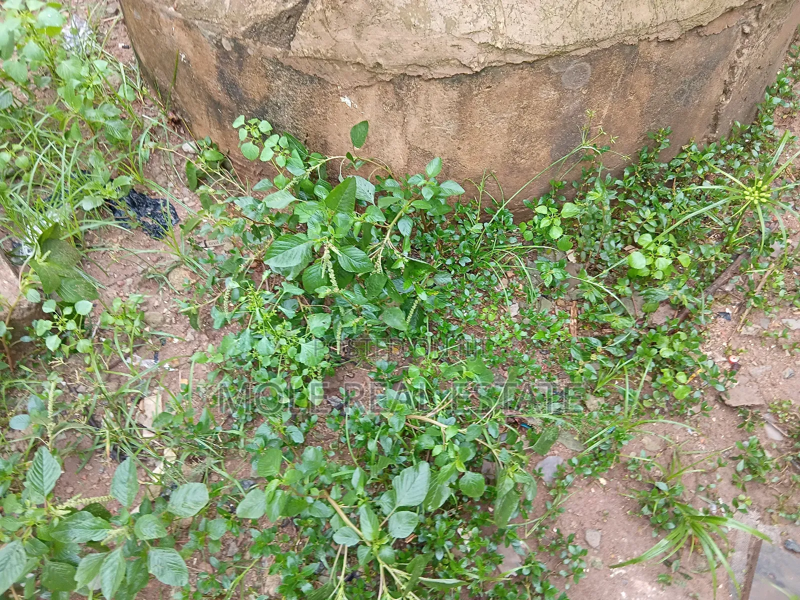2 Acers (12 Plots) Facing Major Abaranje New Road