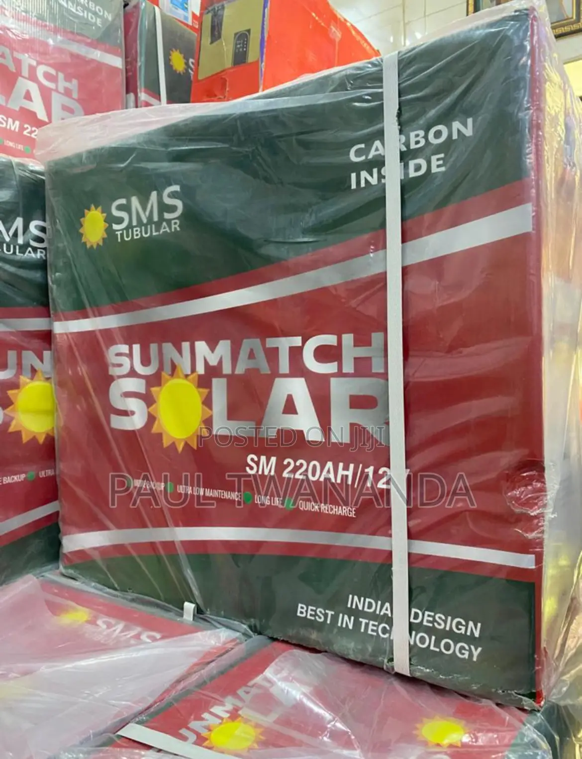 220a SMS Tubular Battery