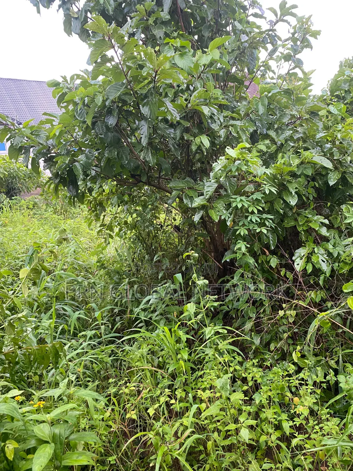 2 Plots Of Land Fenced And Gated For Sale In Owerri