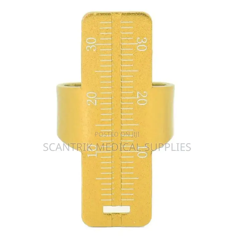 Colored Dental File Holder