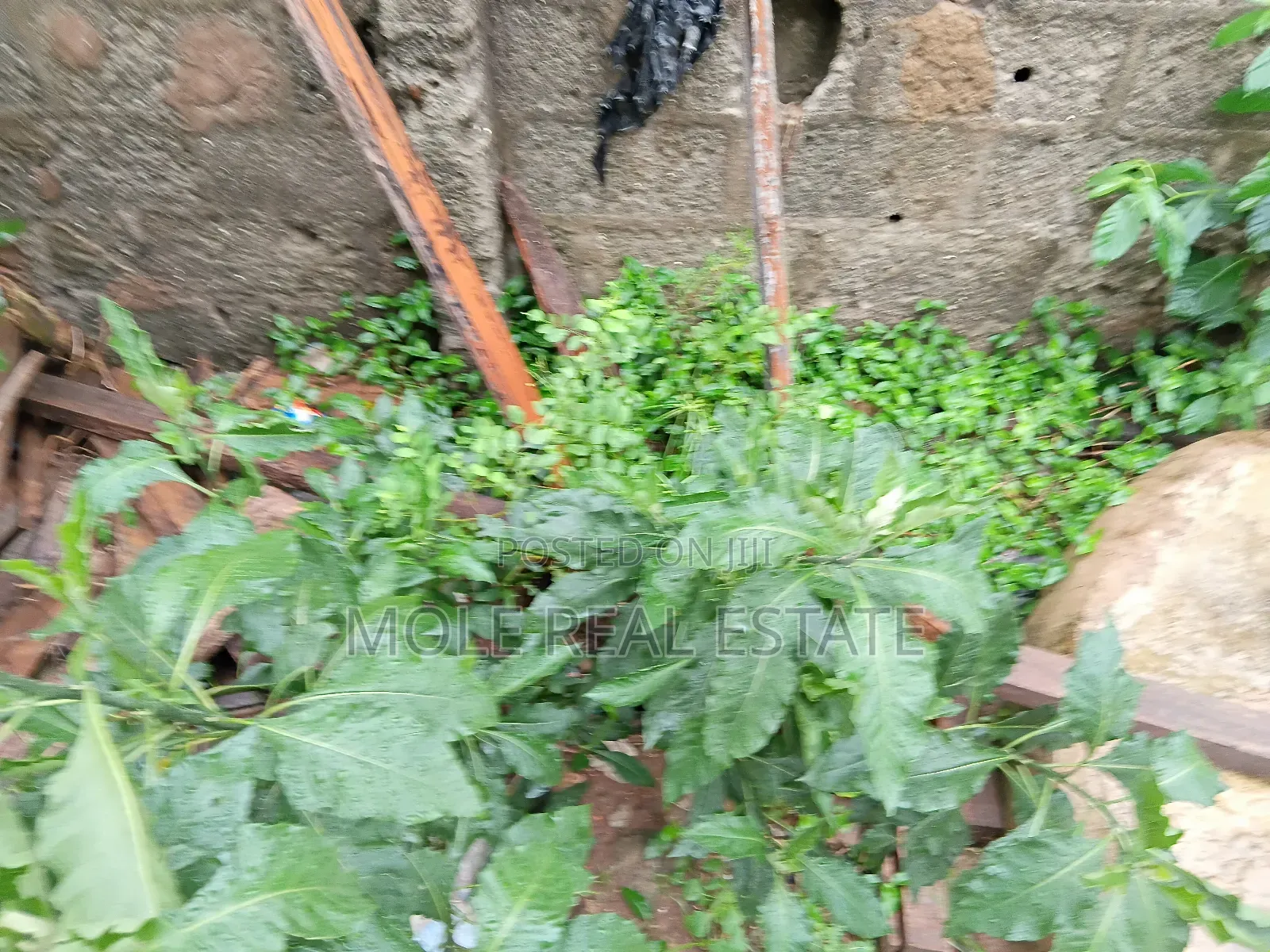 Full Plot of Land 4 Sale Pedro Rd Shomolu Bariga
