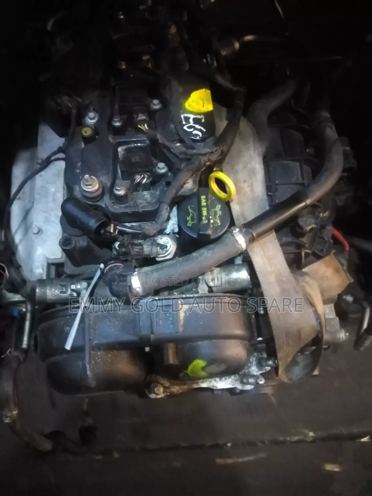 Ford Escape/ Volvo Engine