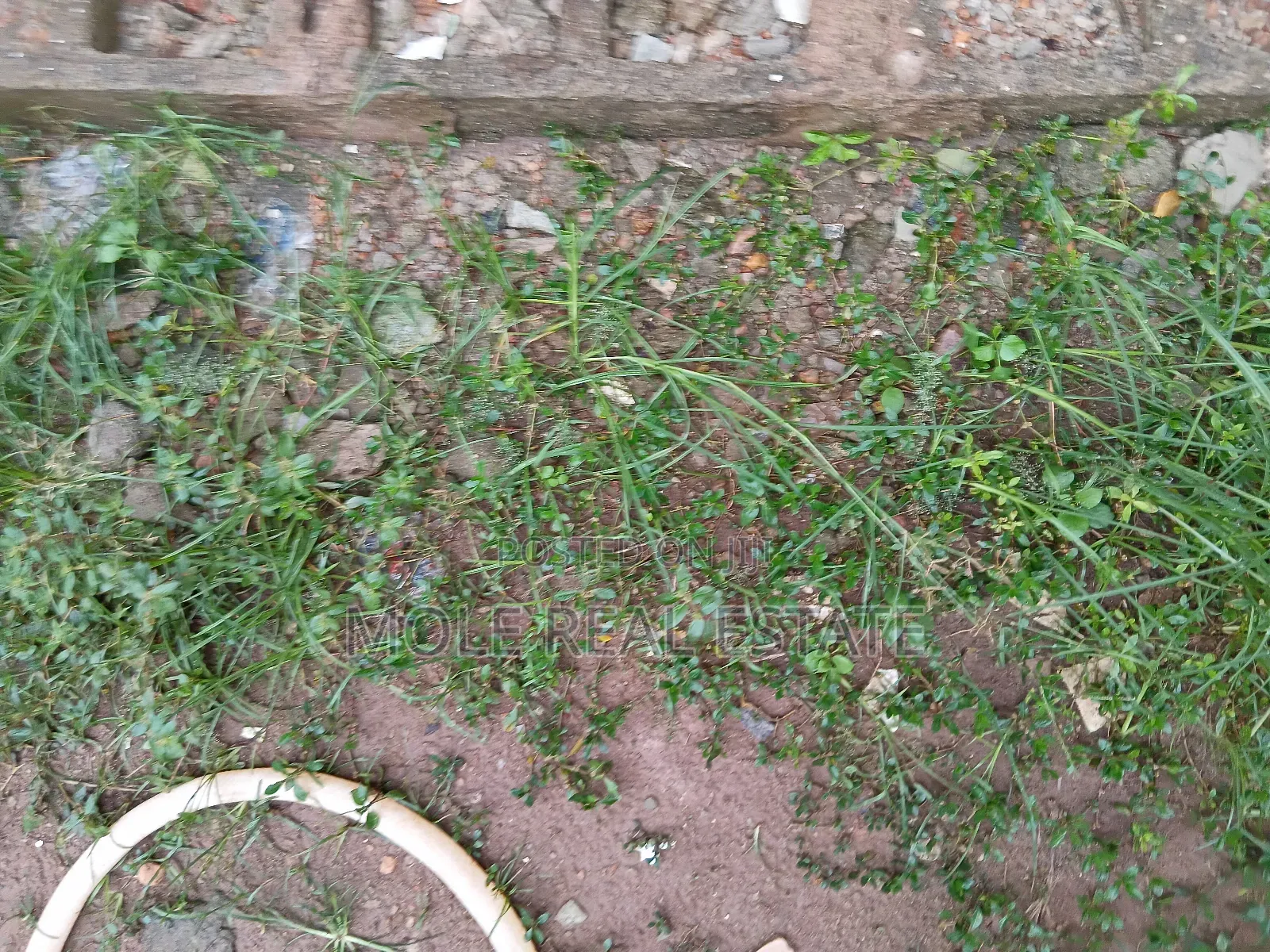 15 Acers Of Water Fronts Ogolonto Ikorodu Lagos