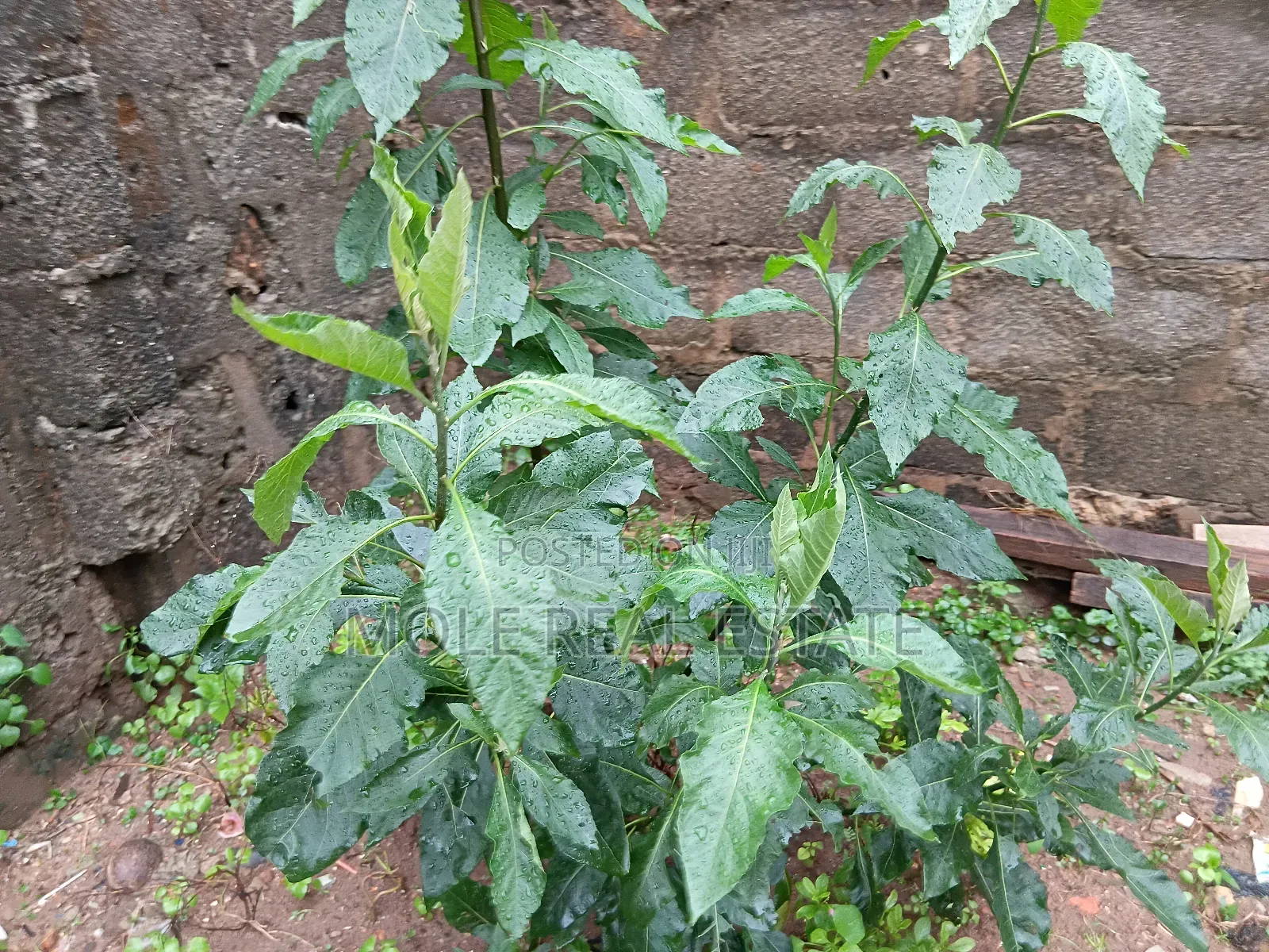 2 Acers Waterfront of Land Ebute Ikorodu Lagos
