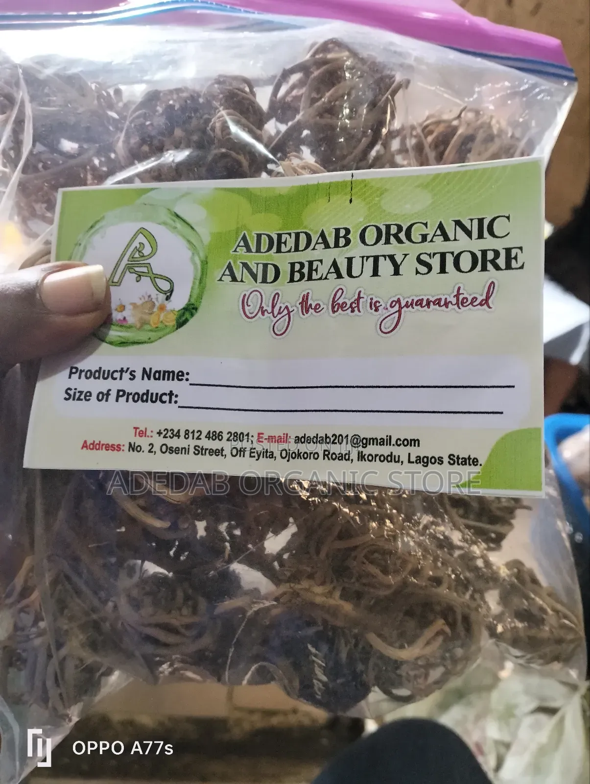Rose of Jericho