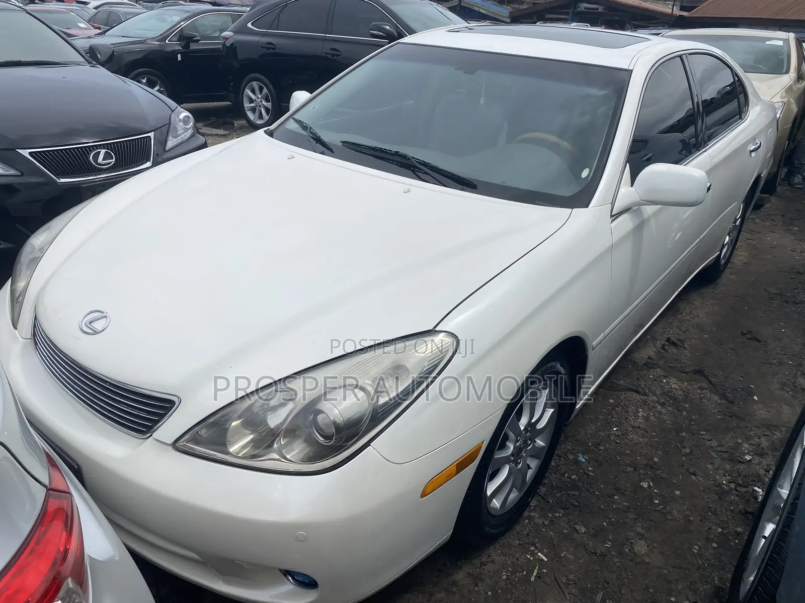 Lexus ES 330 2005 White