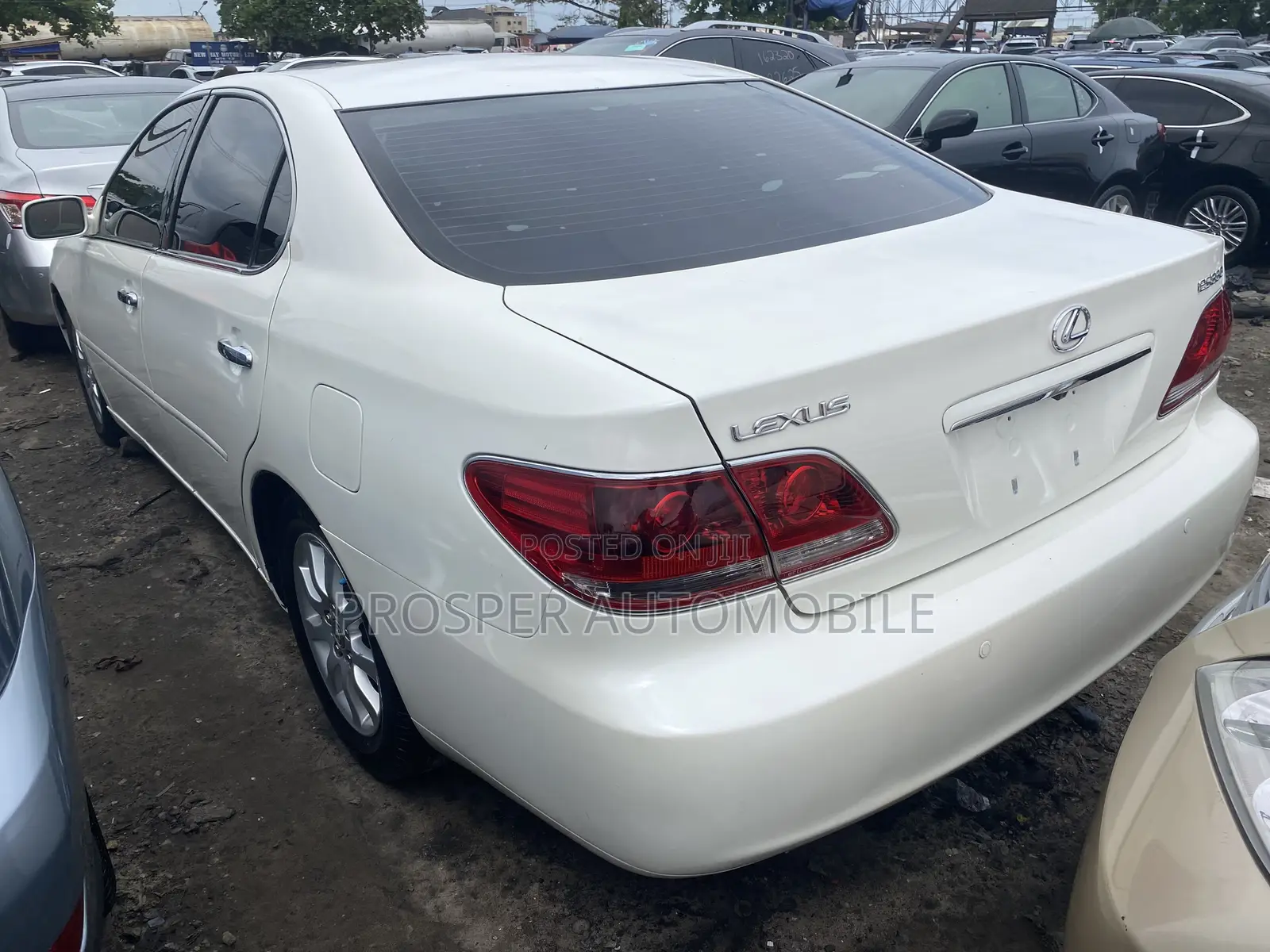 Lexus ES 330 2005 White