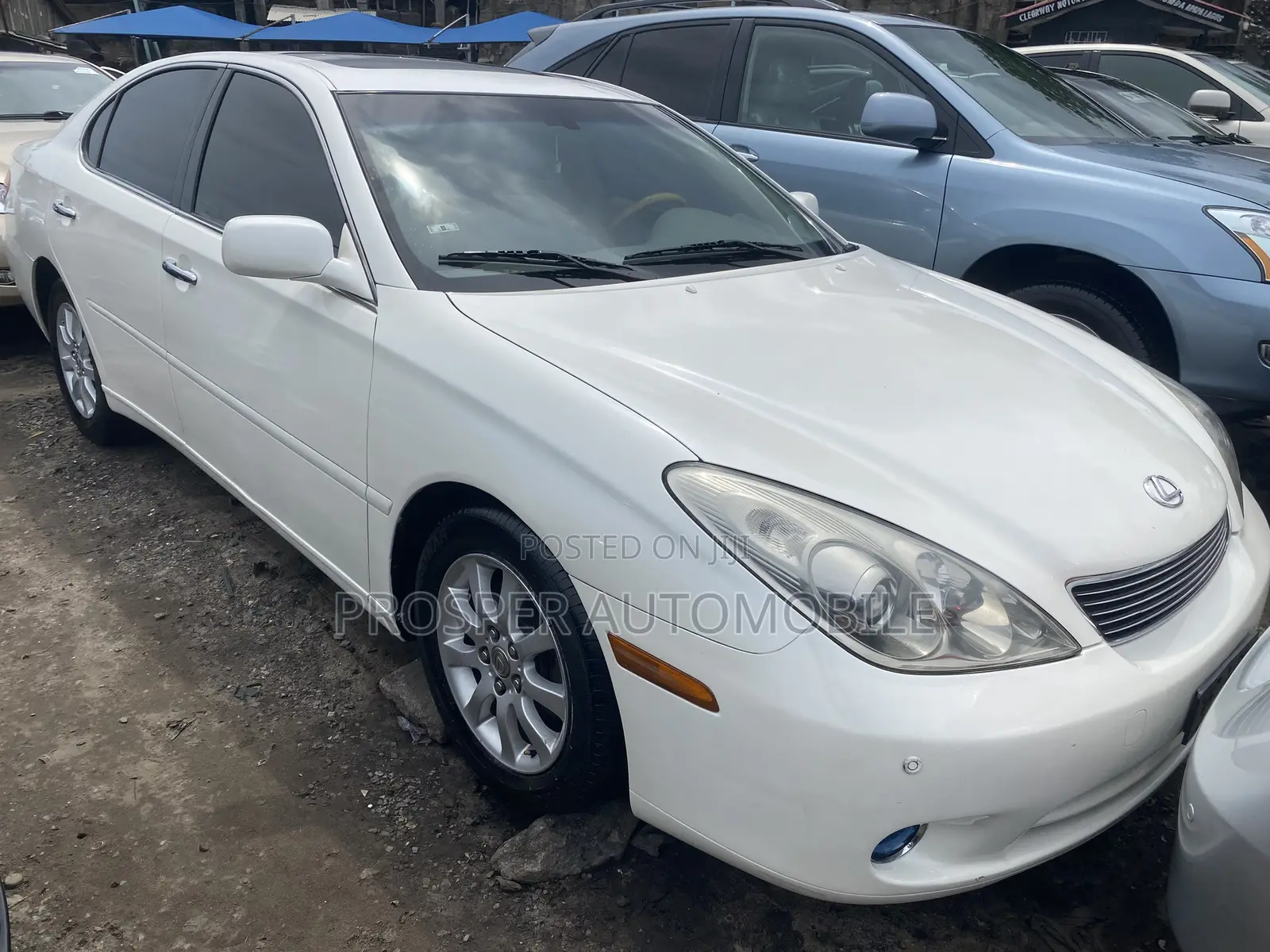 Lexus ES 330 2005 White