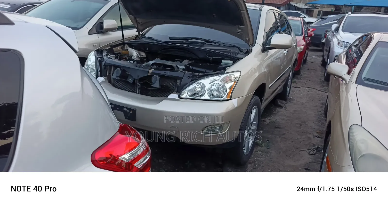 Lexus RX 2006 Gold