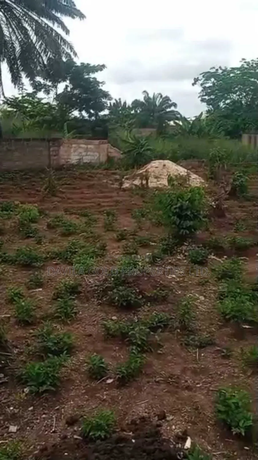 An Accessible Land for Sale