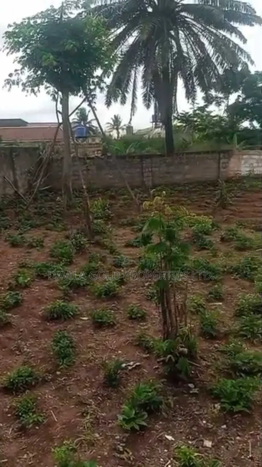 An Accessible Land for Sale