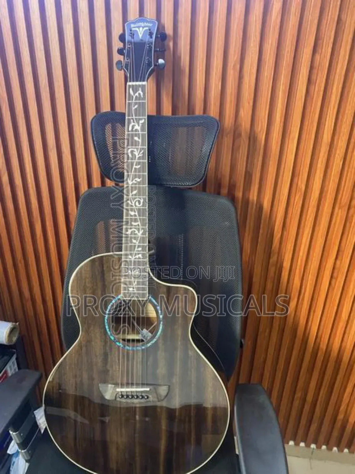 Bullfighter Electroacoustic Guitar!