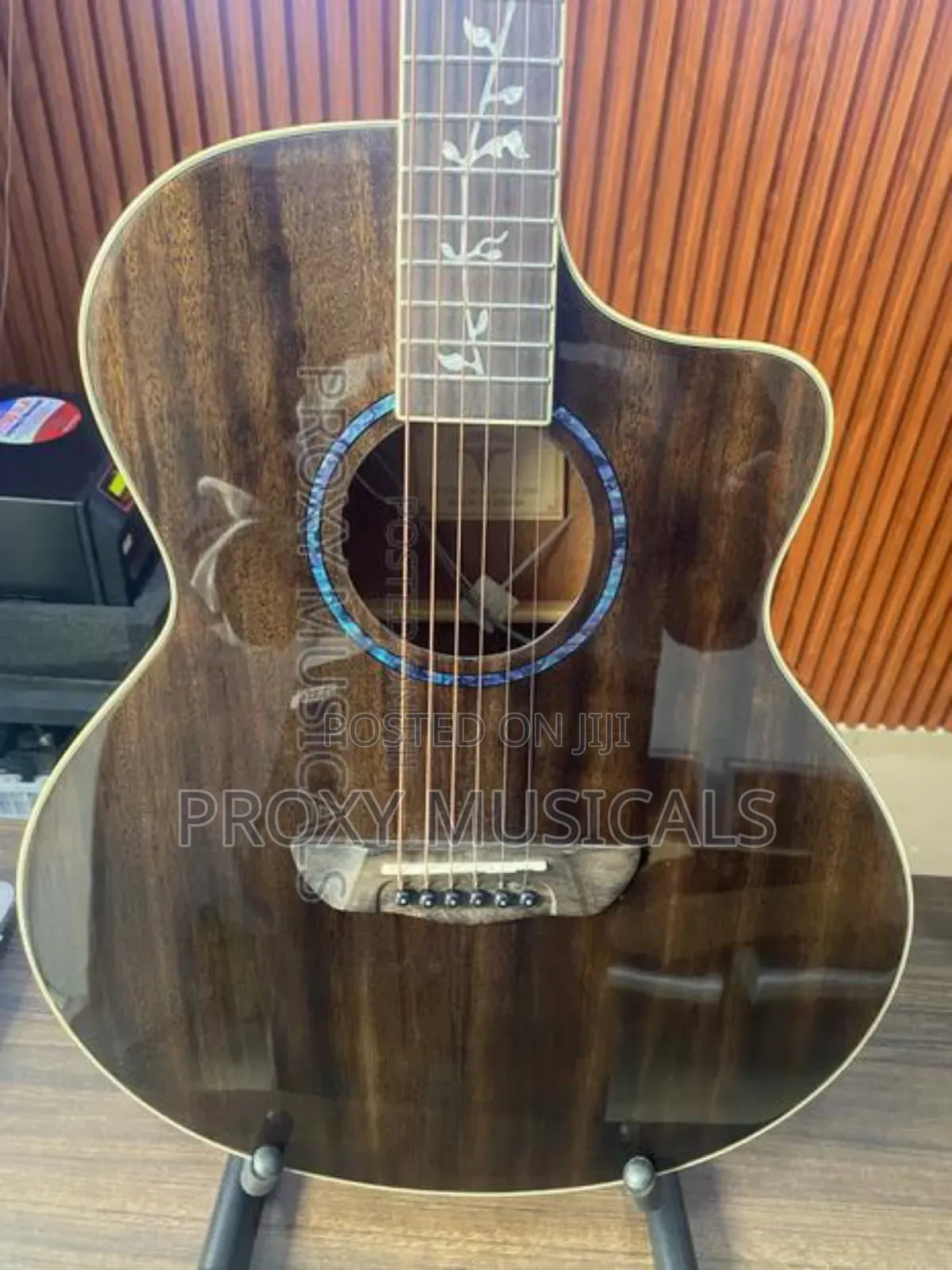 Bullfighter Electroacoustic Guitar!