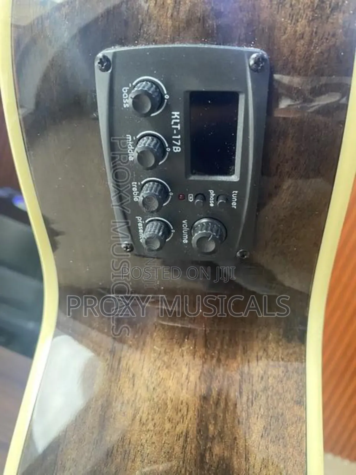 Bullfighter Electroacoustic Guitar!
