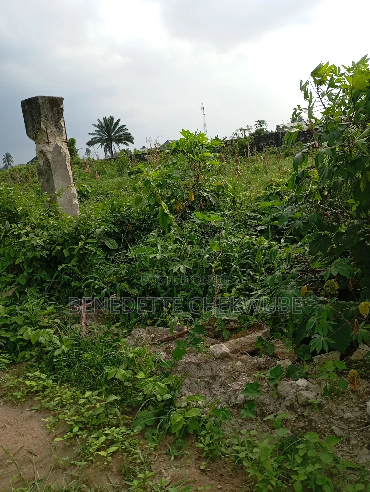For Sale:30 Plots for Sale