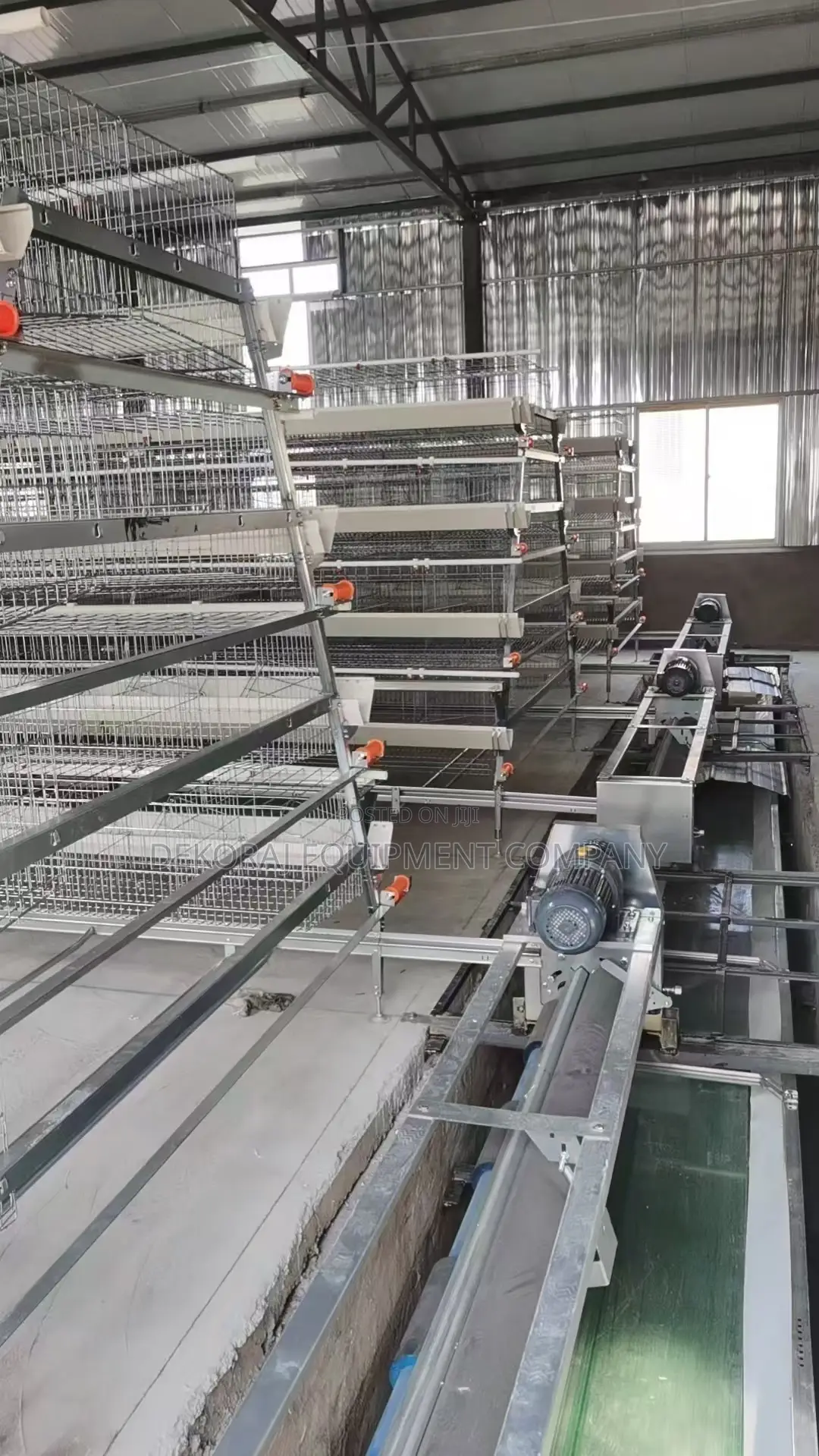A Type Fully Automated Cage For Layers,Auto Cleaning