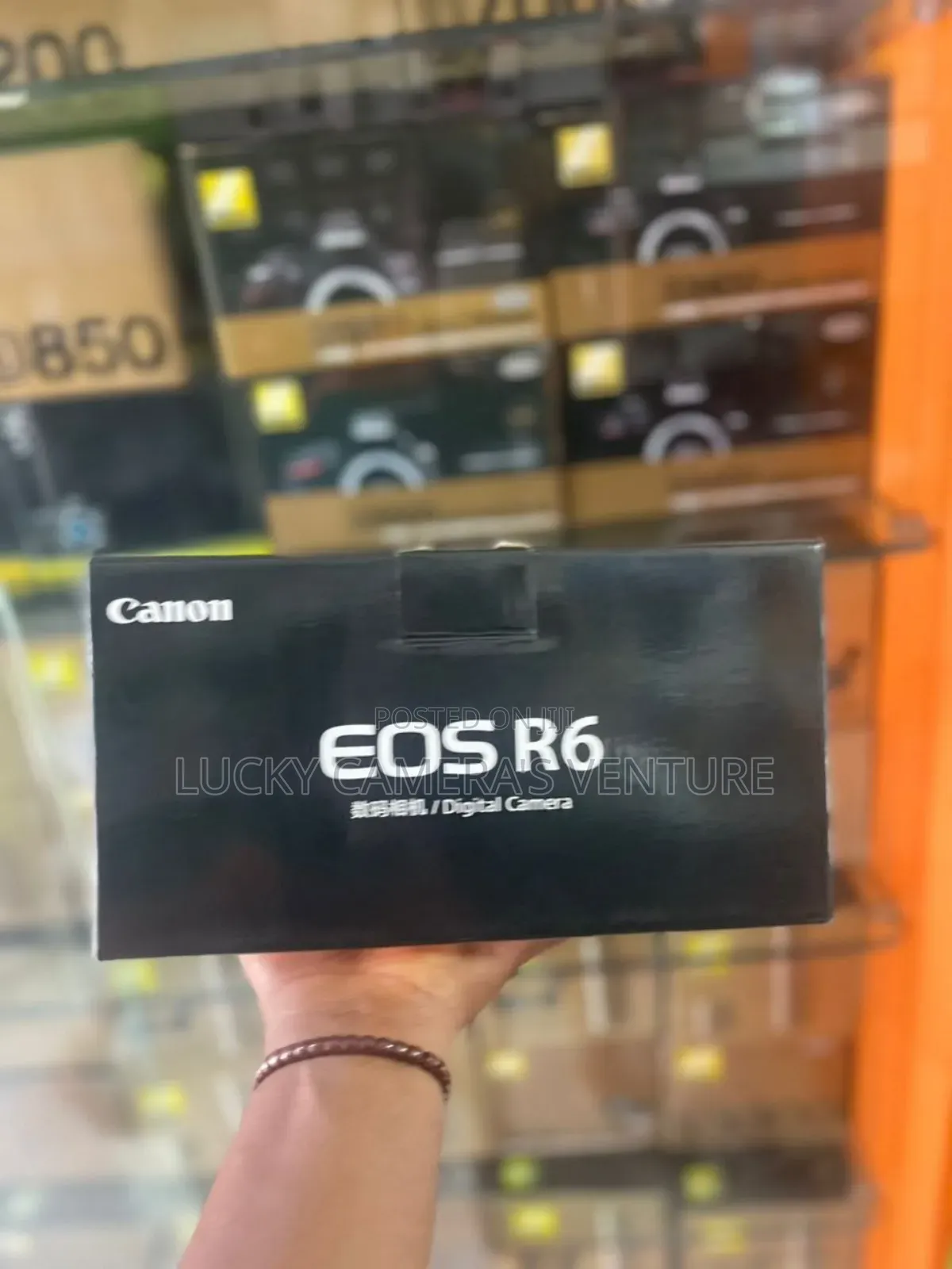 Canon R6, Only Body