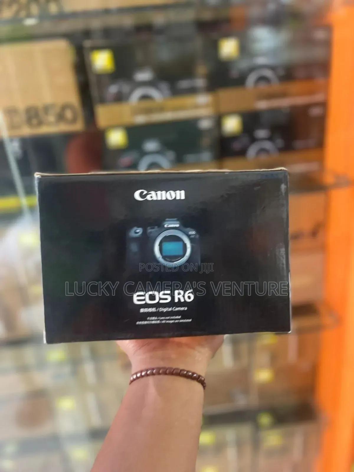 Canon R6, Only Body