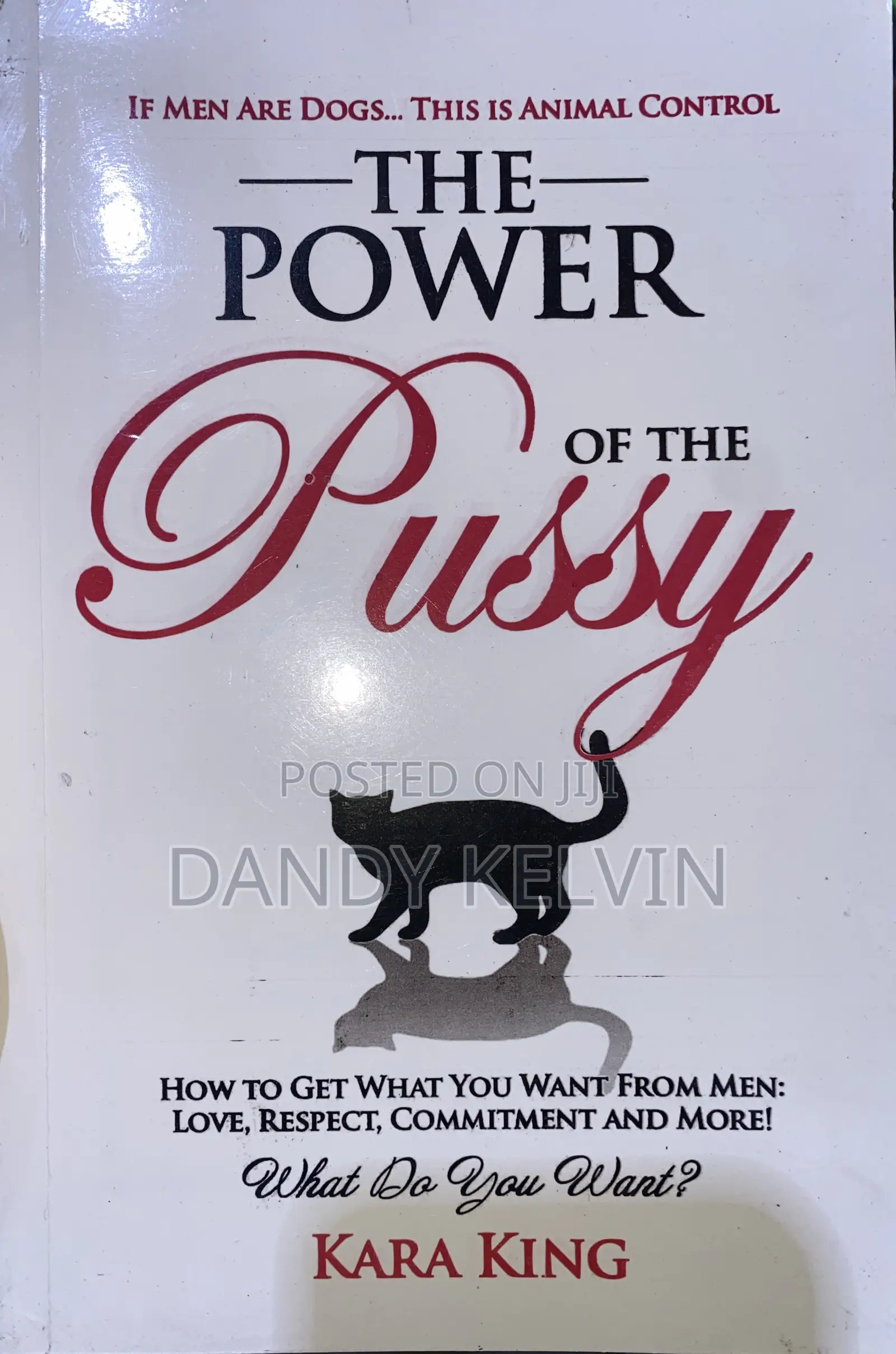 The Power of the Pussy