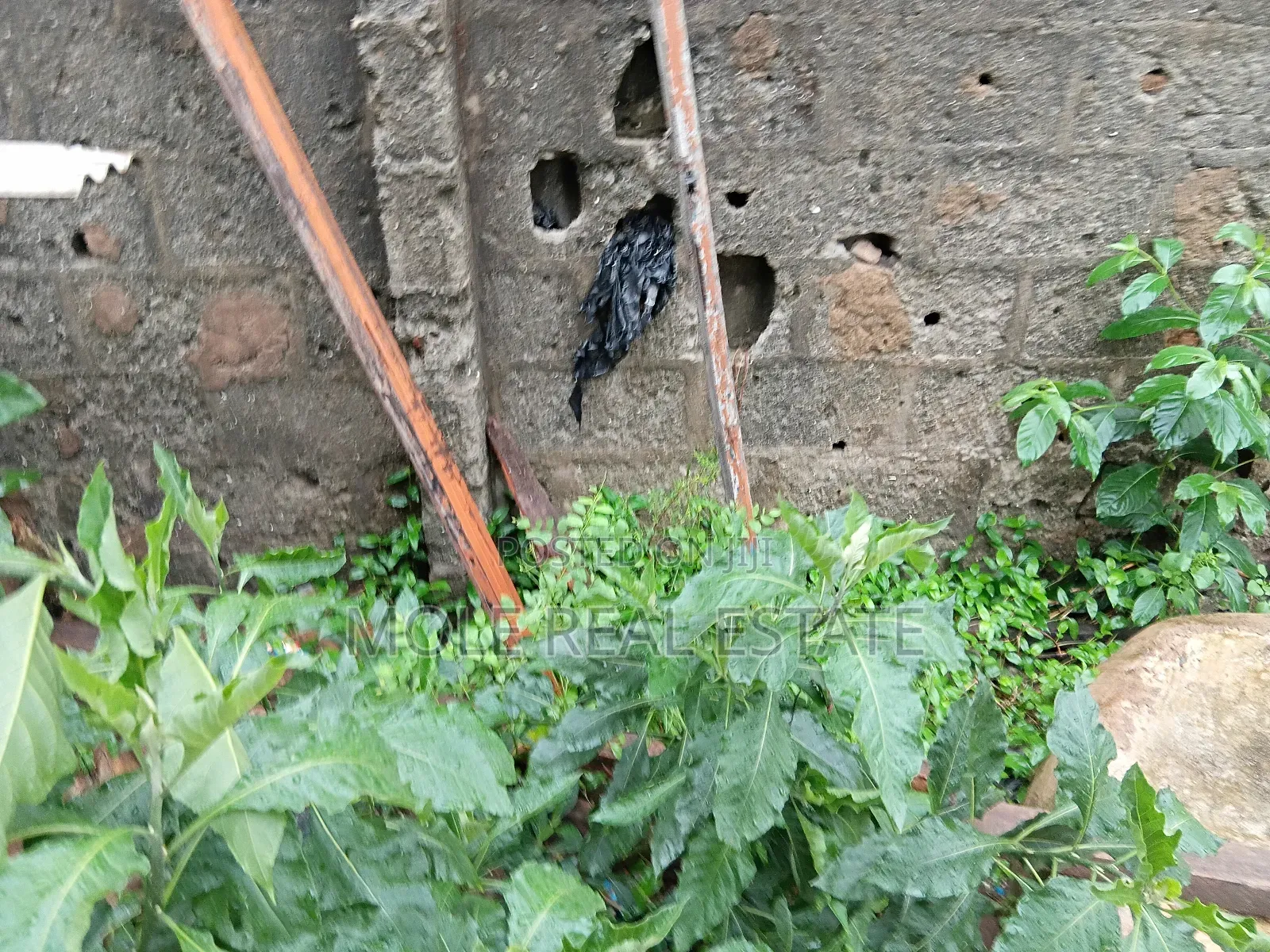 35ft by 100ft Plot 4 Sale Ilepo Ekoro Lagos State