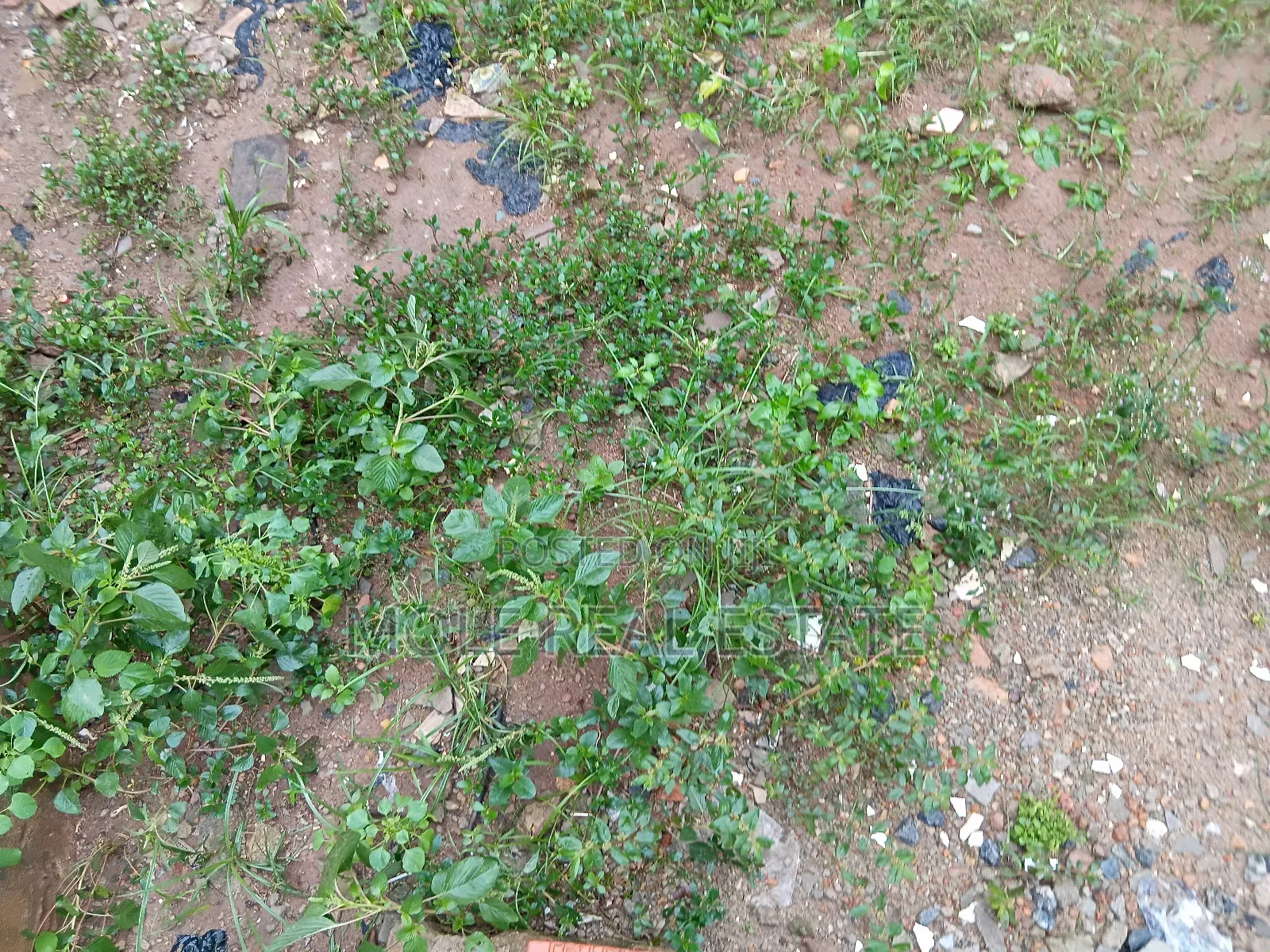 35ft by 100ft Plot 4 Sale Ilepo Ekoro Lagos State