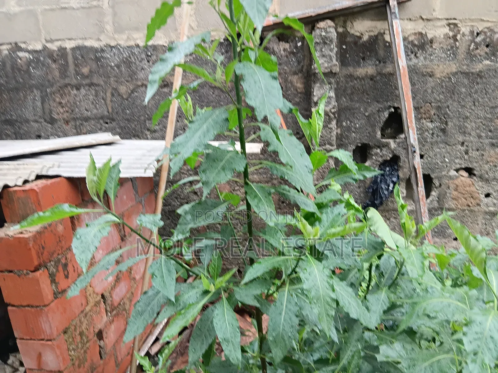 40 Acers Of Water Front Land Ikorodu Lagos