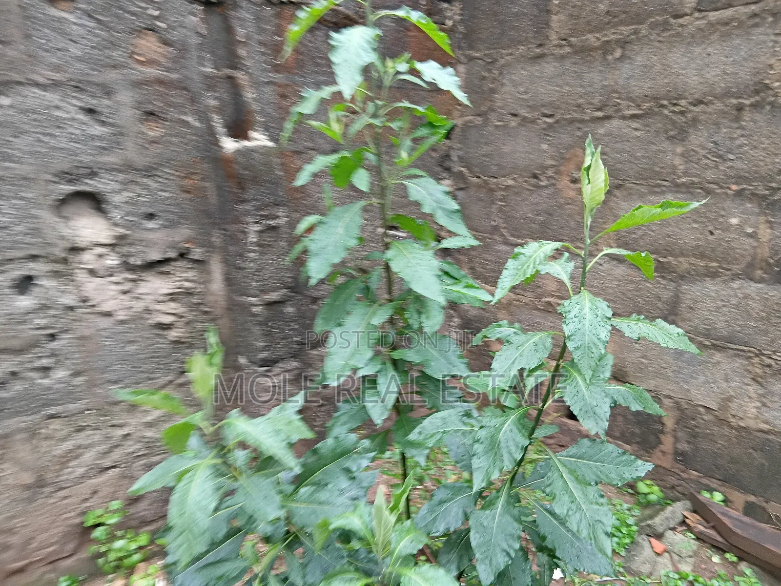 20 Acers Lagosibadan Express B/4 Danco Petrol Station