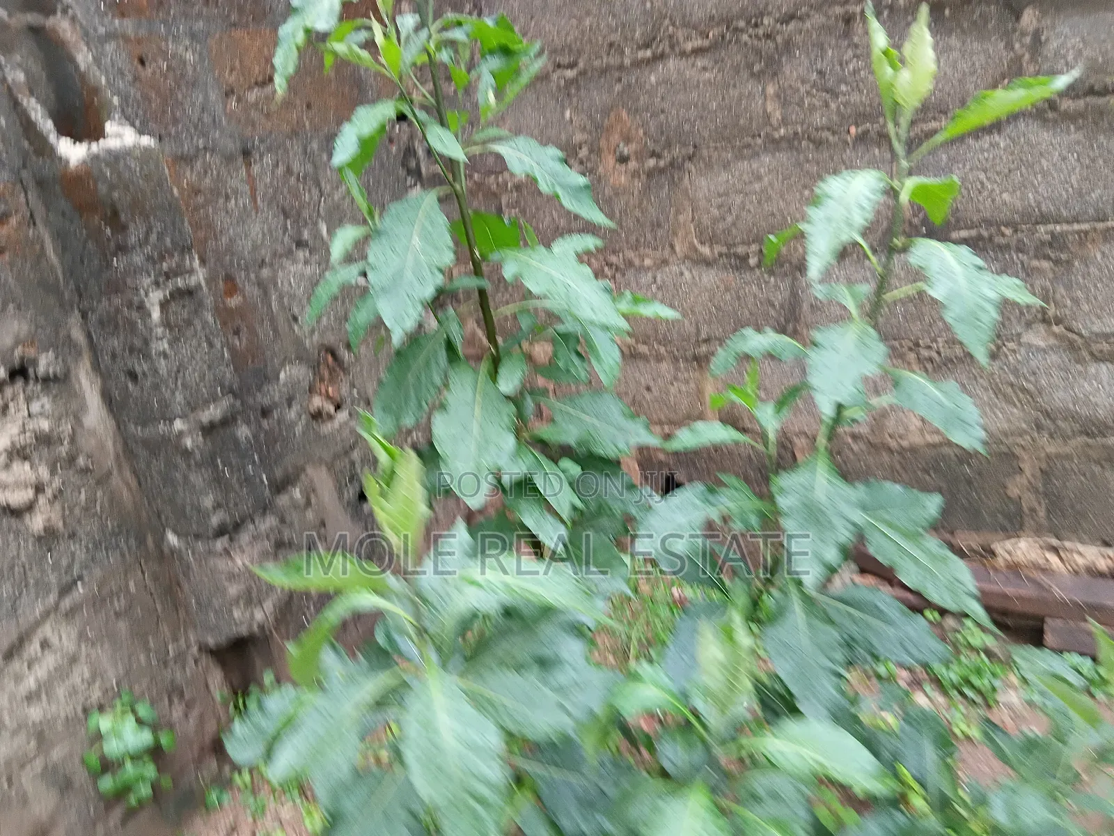 20 Acers Lagosibadan Express B/4 Danco Petrol Station