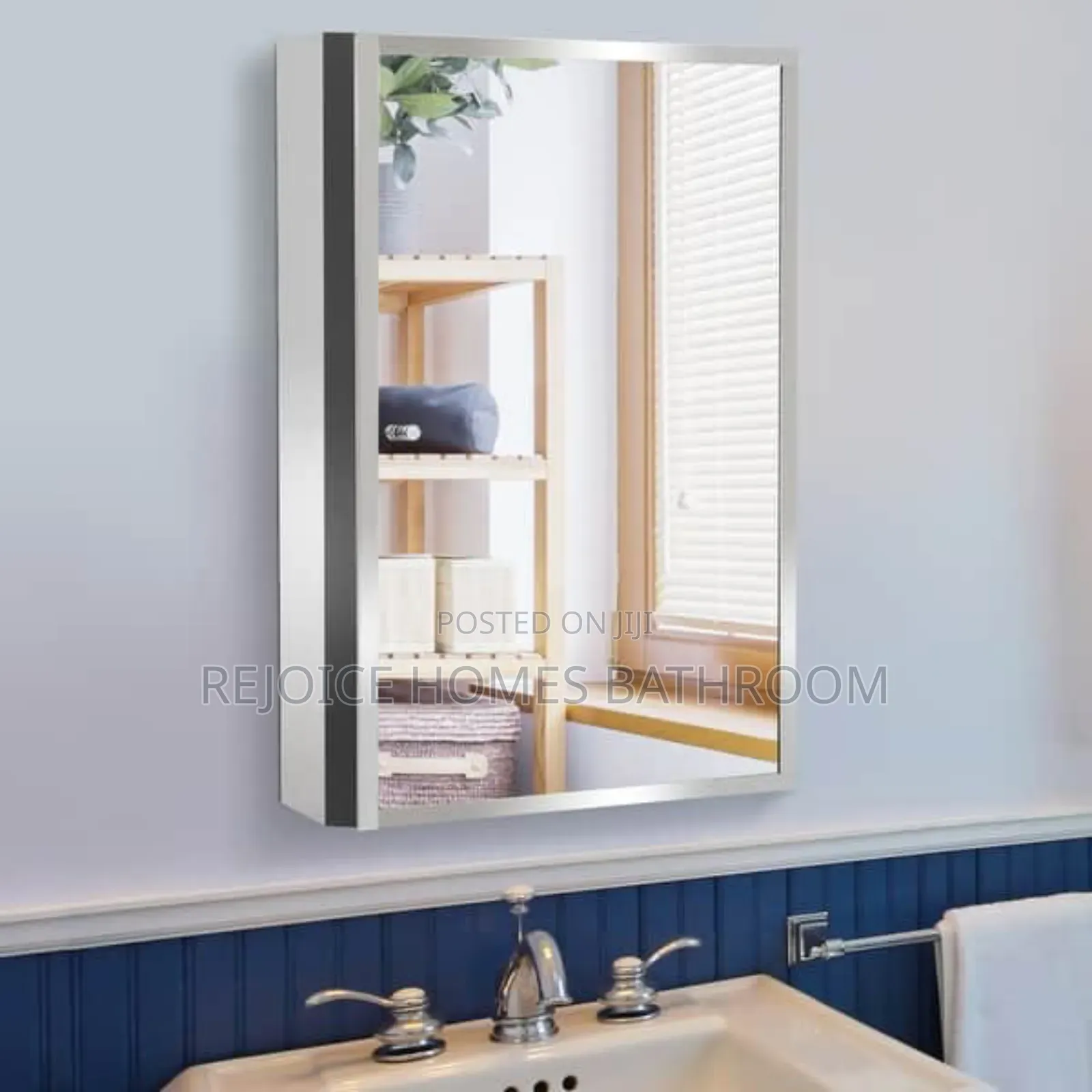Luxury Stainless Steel Wall Hung Storage Mirror With Shelve