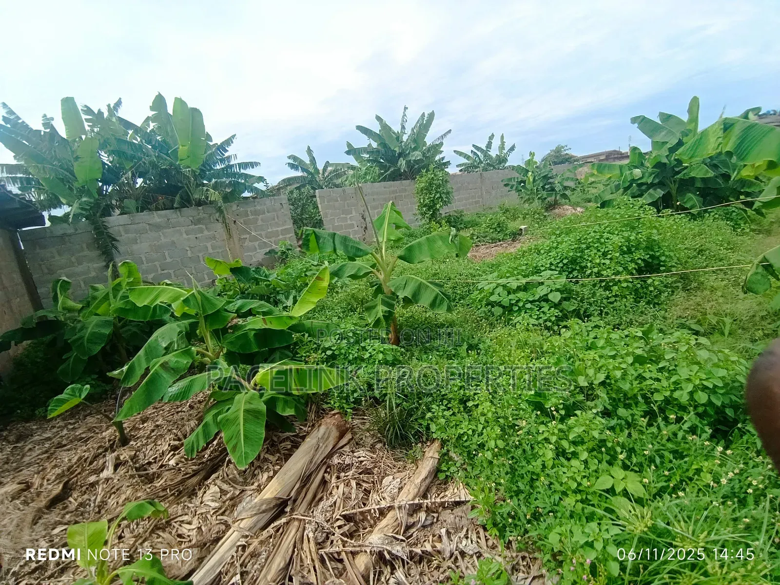 Half Plot of Land on a Tarred Road