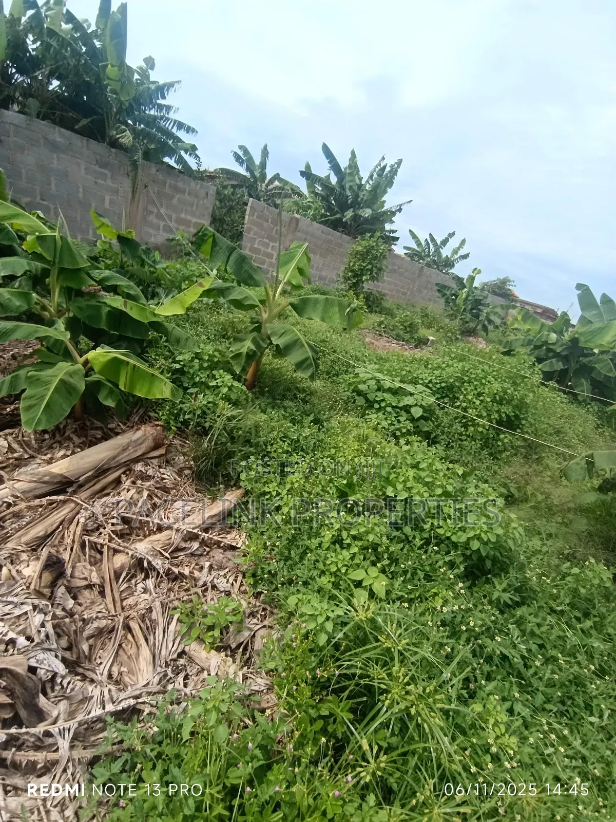 Half Plot of Land on a Tarred Road