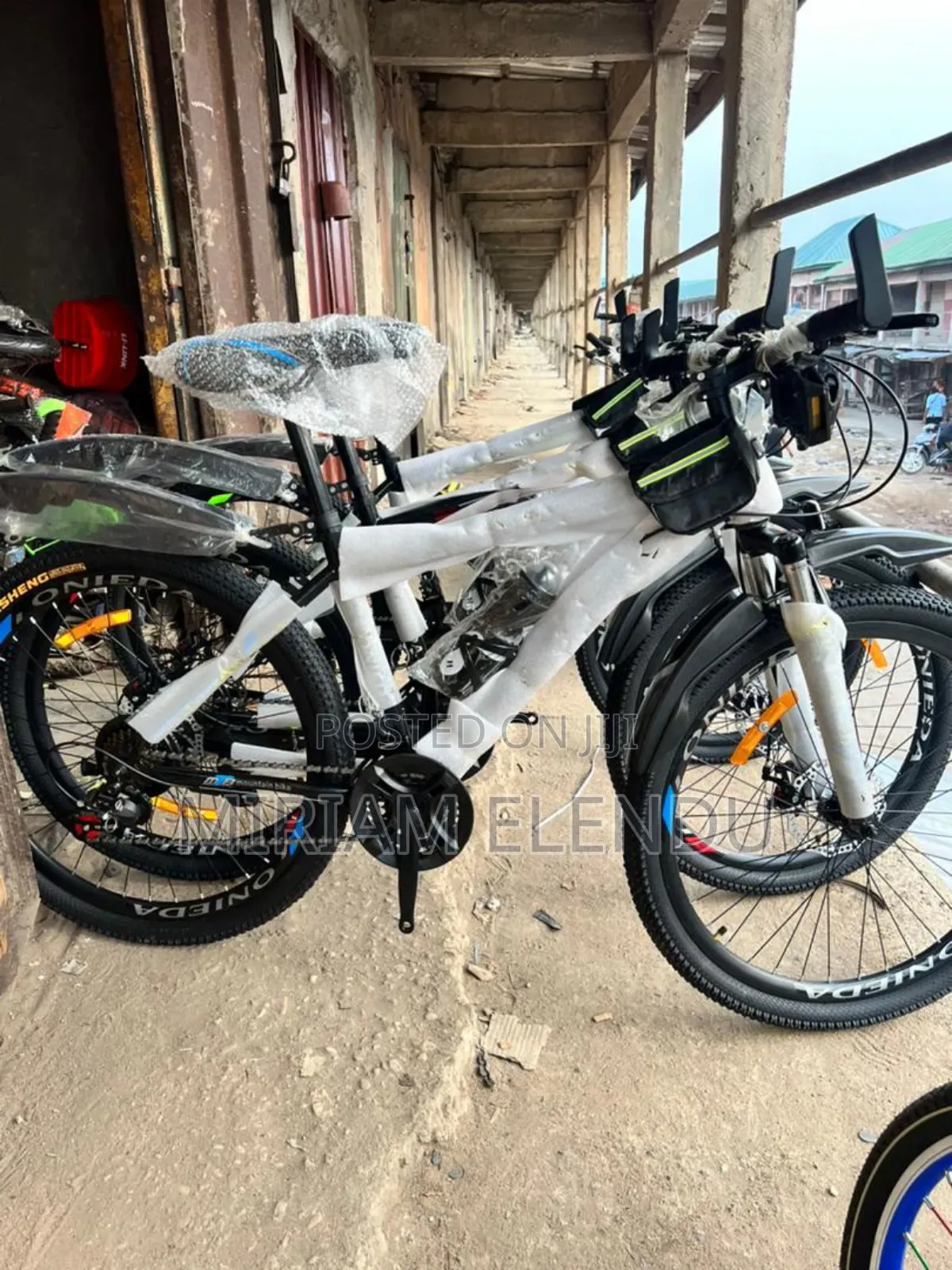 Adult Bicycle
