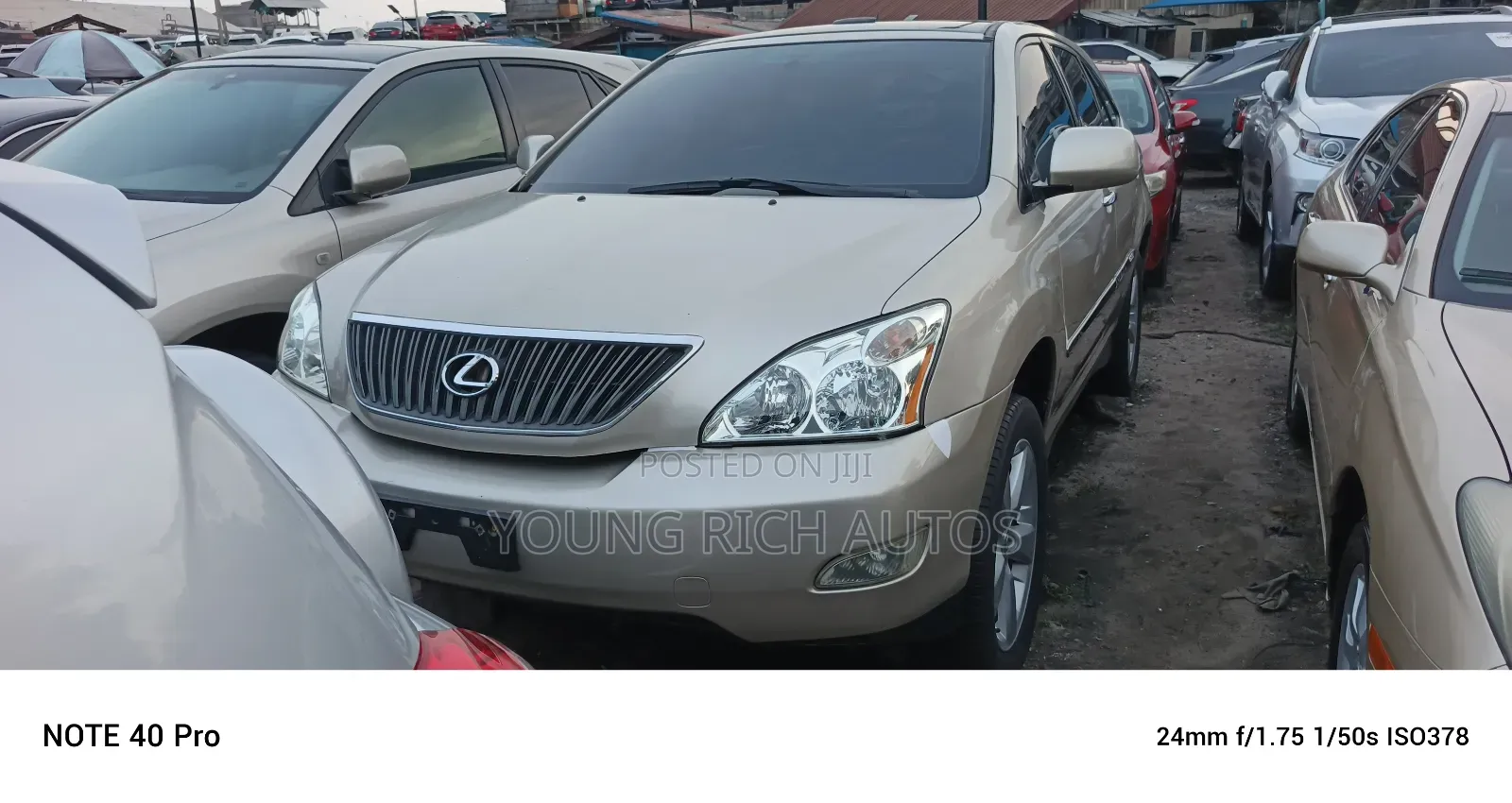 Lexus RX 2005 Gold
