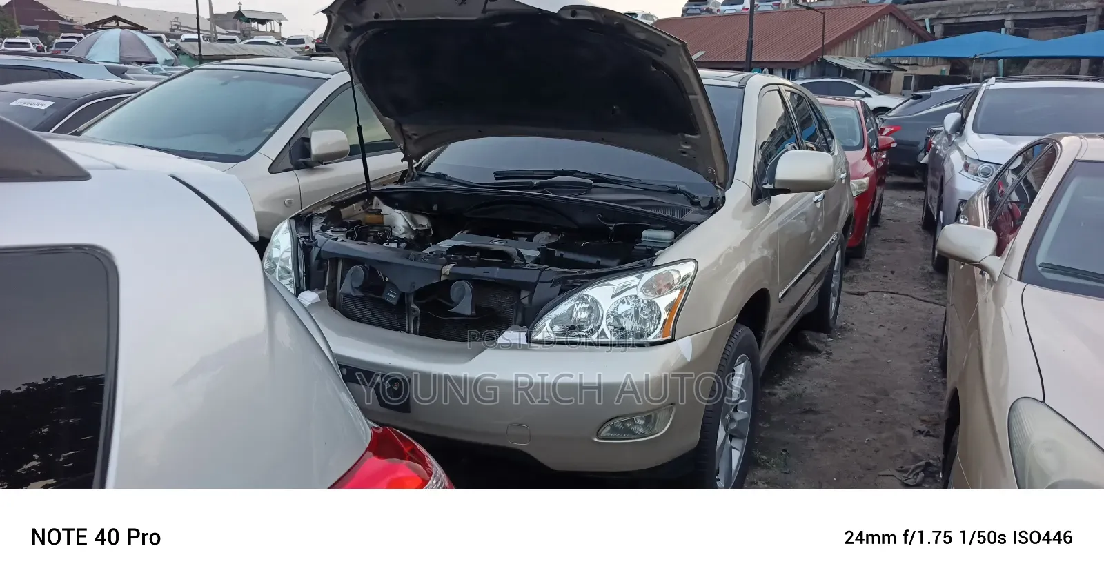 Lexus RX 2005 Gold