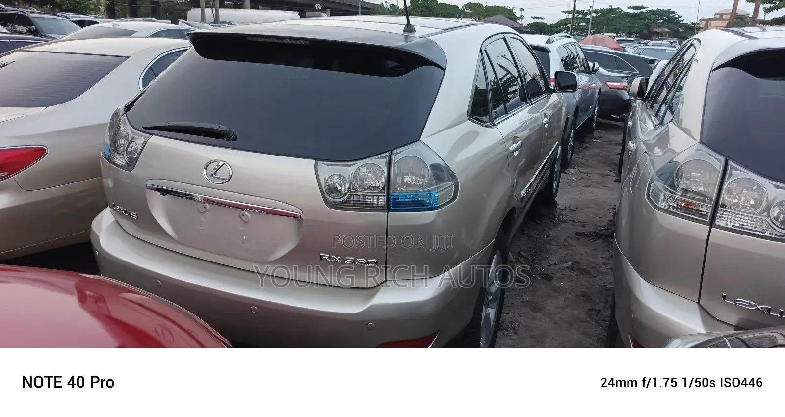 Lexus RX 2005 Gold