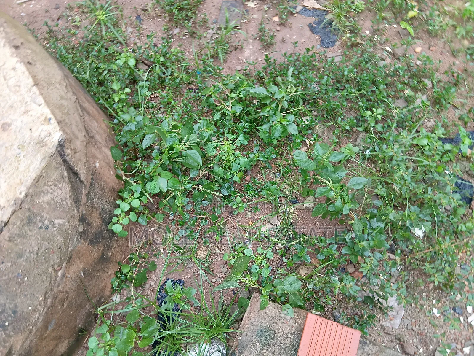 5500sqm Plots Ikoyi Waterfront by Alexander Rd