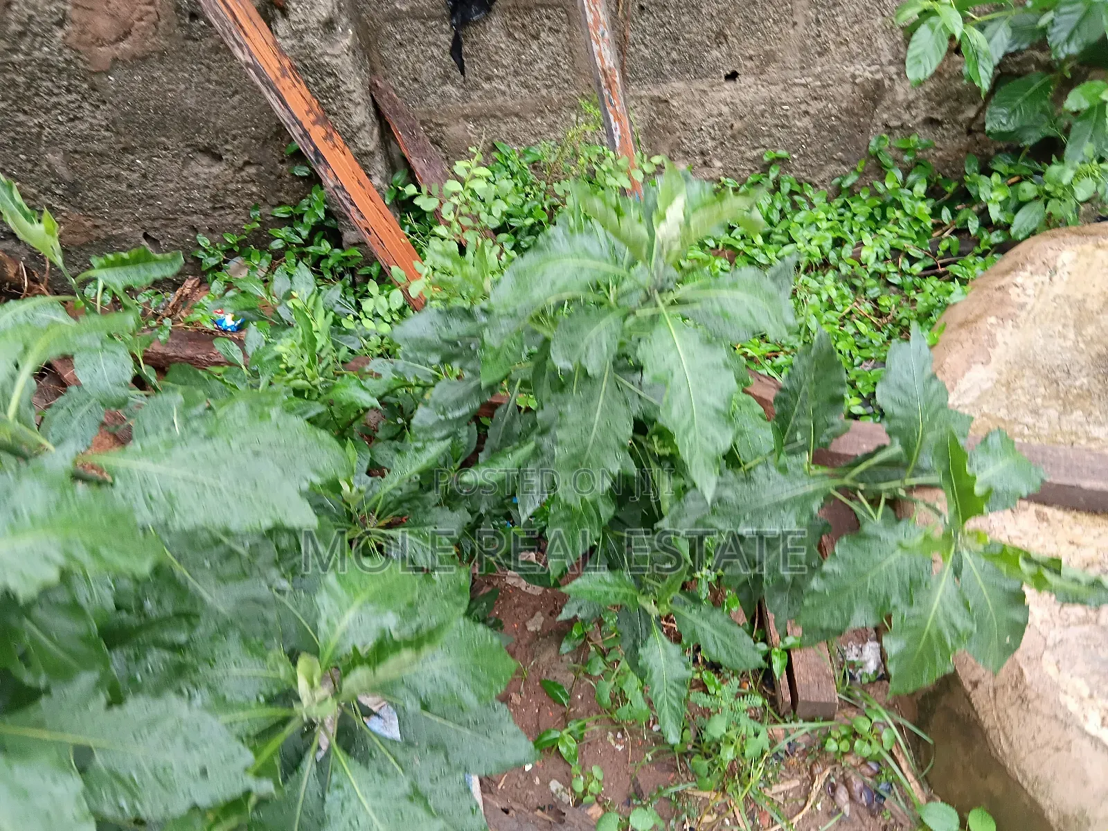 2000sqm Waterfront Queens Drive Ikoyi