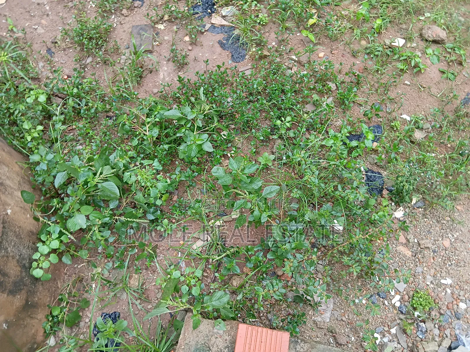 2000sqm Waterfront Queens Drive Ikoyi