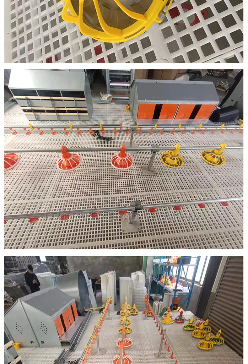 Broiler Feeding And Drinking Line,Wiremesh,Panel Mesh