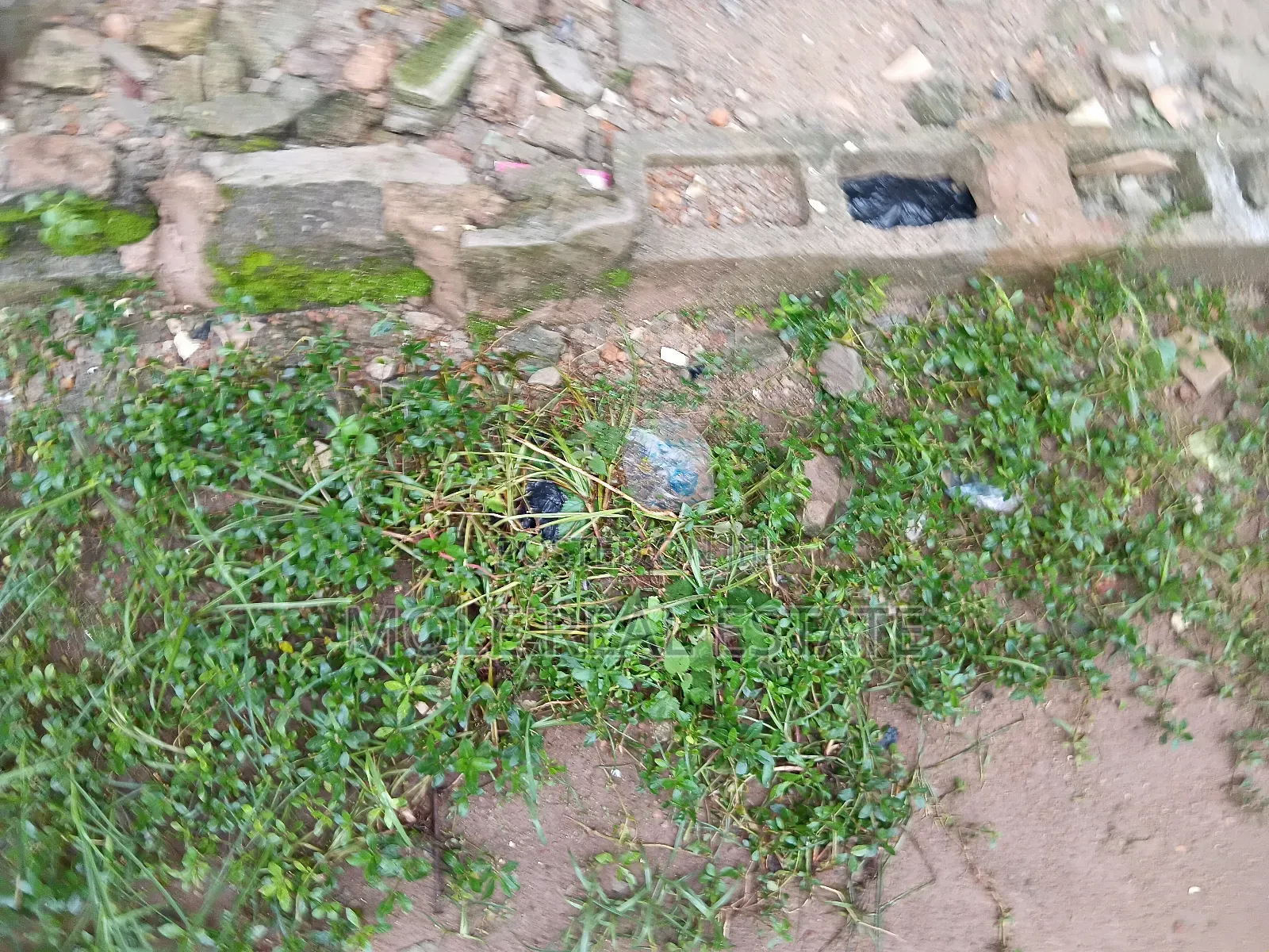 60ft/240ft (2plot ) Eco Bank Ikotun Car Park