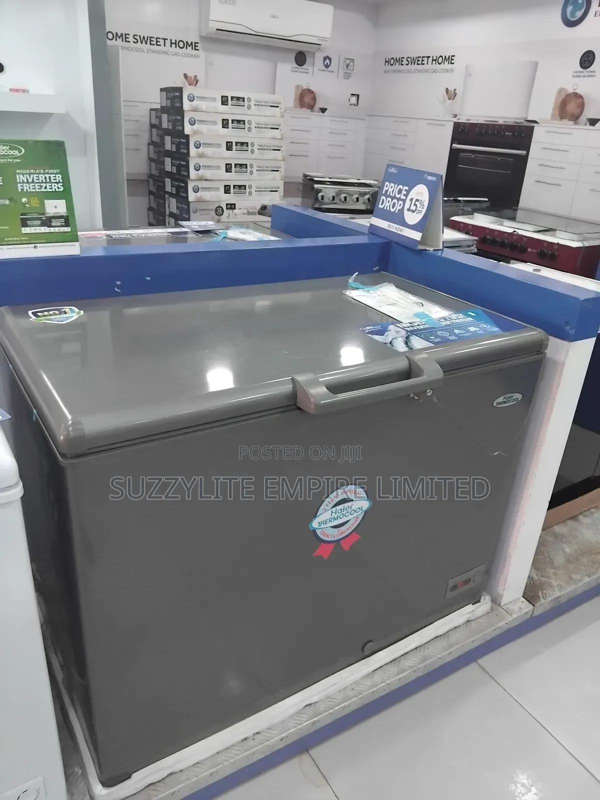 319 Liters Inverter Chest Freezer Thermocool Silver