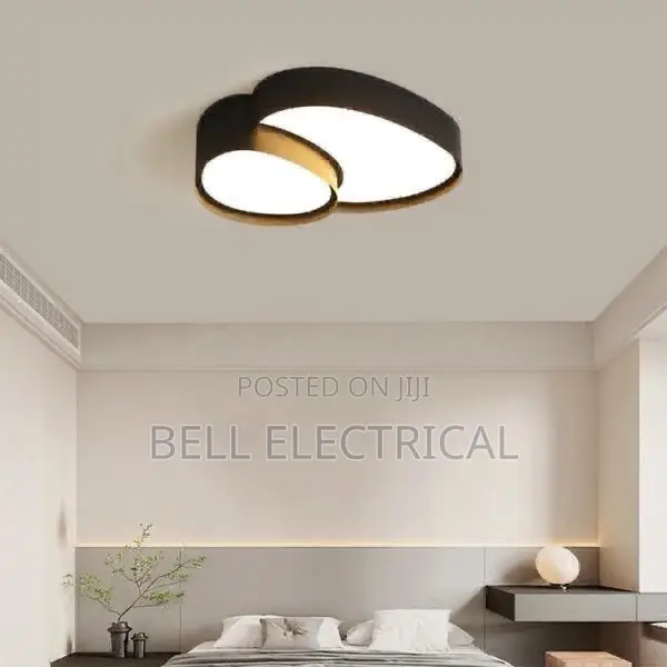 A Black Modern Simple Nordic Ceiling Lights