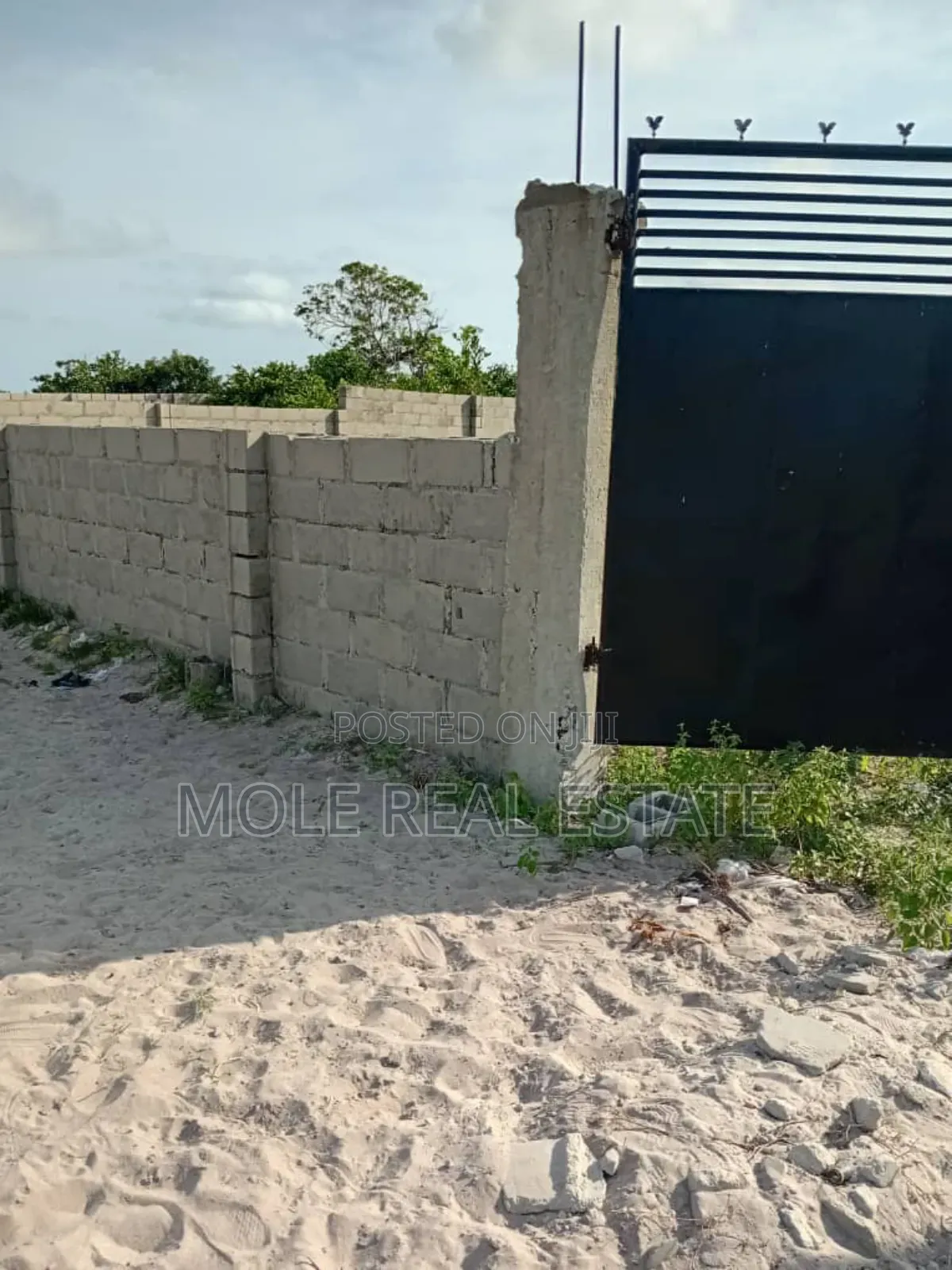 20, 000 Hecters of Land Akodo Dangote Rifinary Ibeju Leki