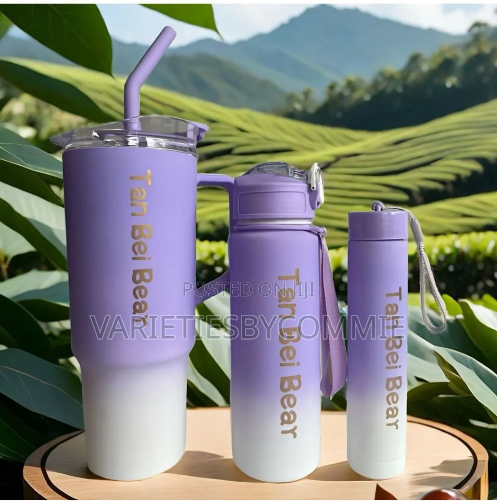3pcs Quality Tumbler Bottle Sets With Straw