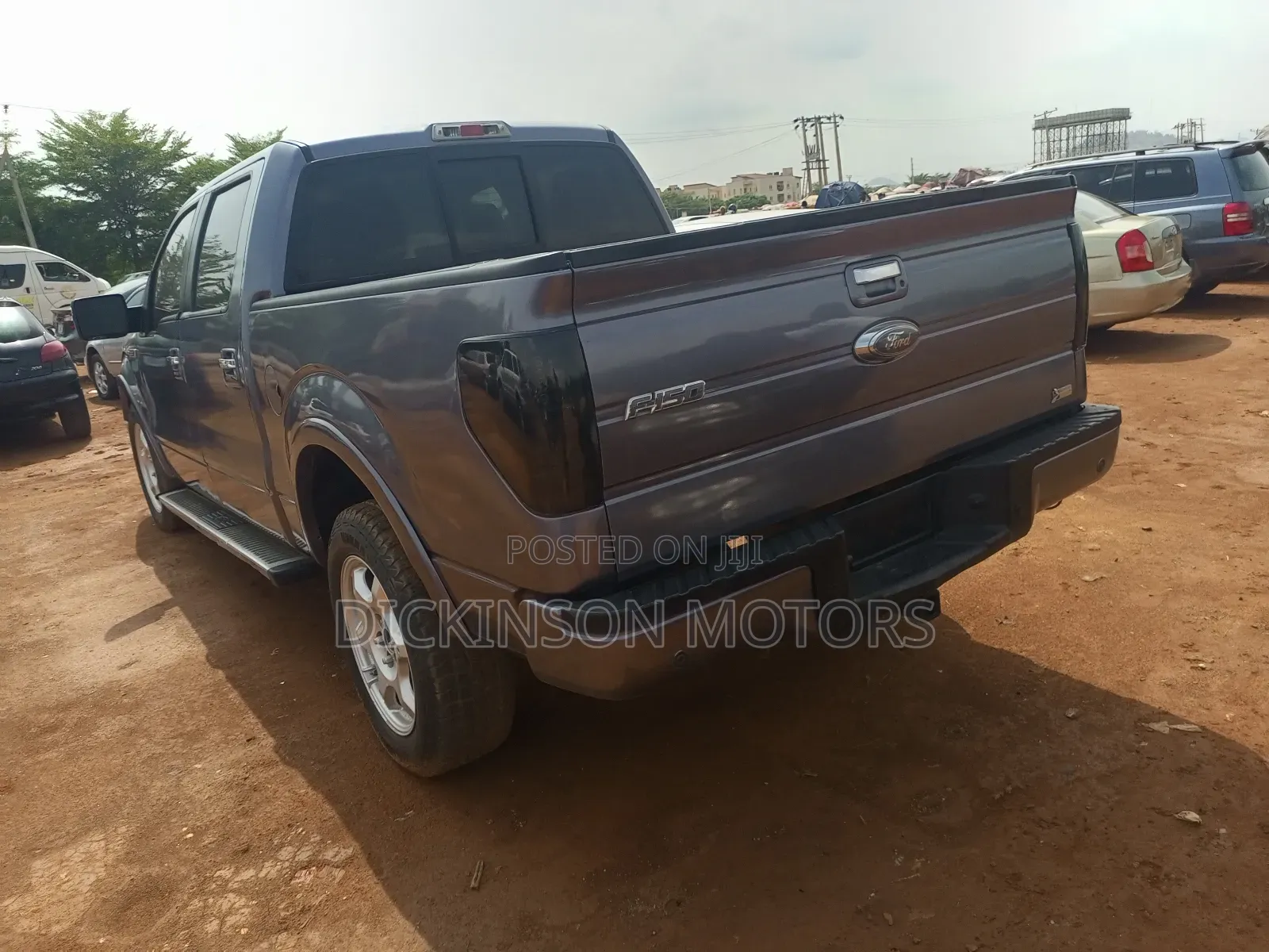 Ford F-150 2010 Gray